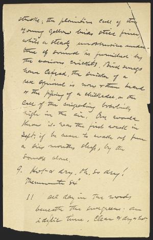 15060-Service File.jpg