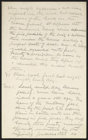 15162-Service File.jpg