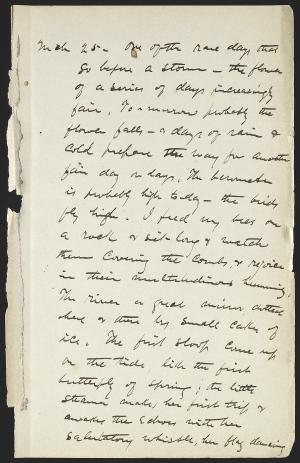 15234-Service File.jpg