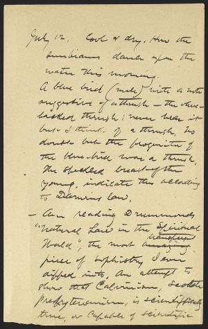 15315-Service File.jpg