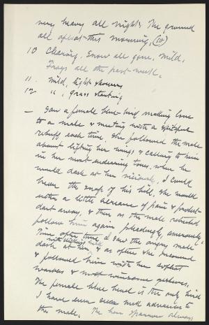 15354-Service File.jpg