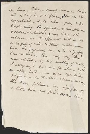 15468-Service File.jpg