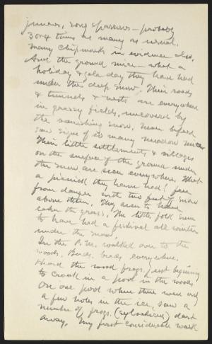 15537-Service File.jpg