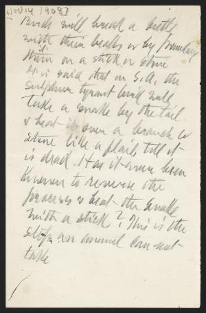 15589-Service File.jpg