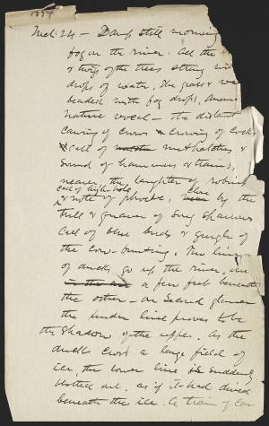 15758-Service File.jpg