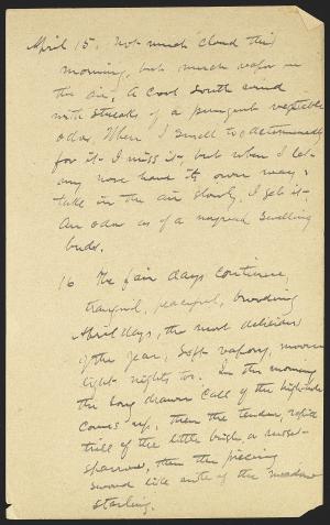 15858-Service File.jpg