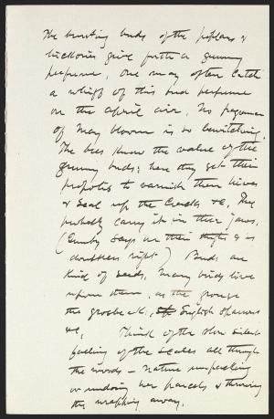 15902-Service File.jpg