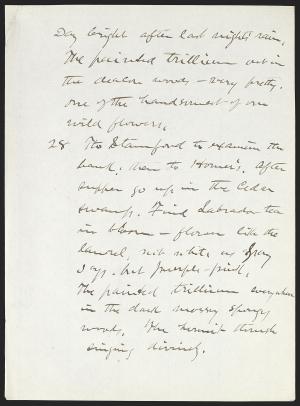 15950-Service File.jpg