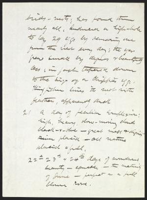 16033-Service File.jpg