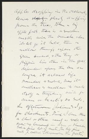 16046-Service File.jpg