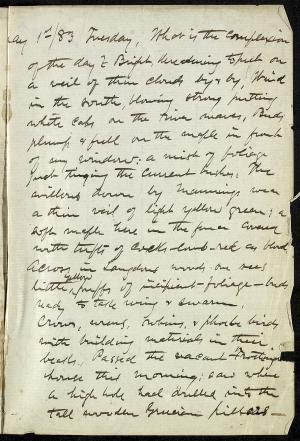 16066-Service File.jpg