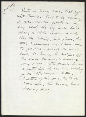 16067-Service File.jpg