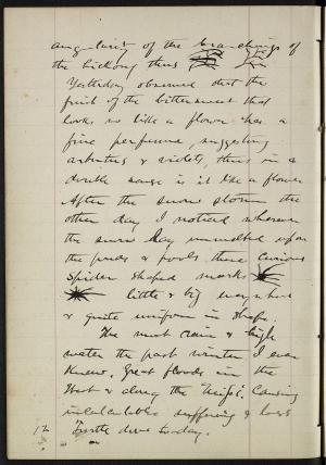 16172-Service File.jpg