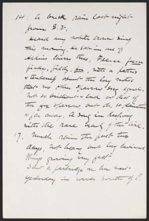 16179-Service File.jpg