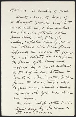 16184-Service File.jpg