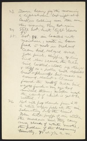 16203-Service File.jpg