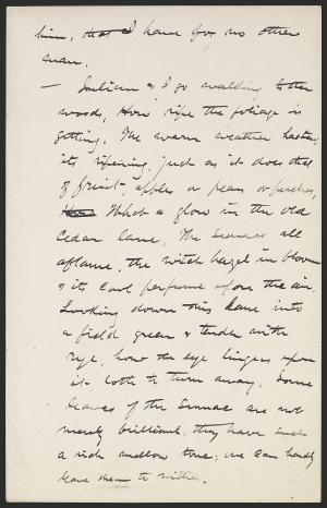 16231-Service File.jpg