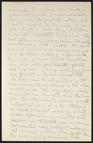 16250-Service File.jpg