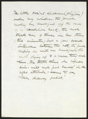 16262-Service File.jpg