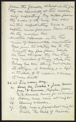 16282-Service File.jpg