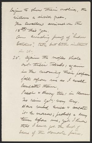 16287-Service File.jpg