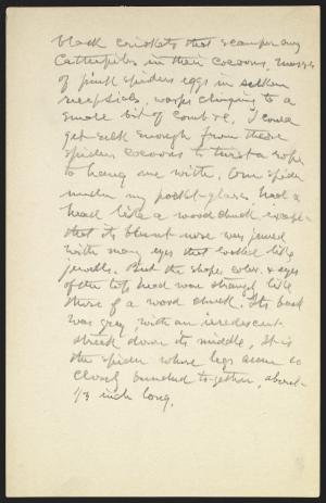 16425-Service File.jpg