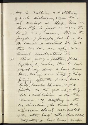 16444-Service File.jpg