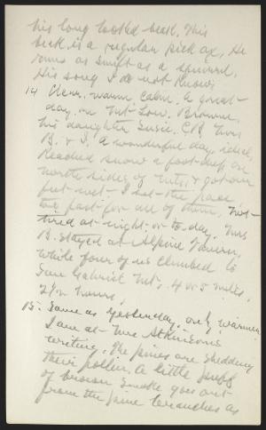 16491-Service File.jpg