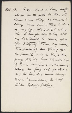 16524-Service File.jpg