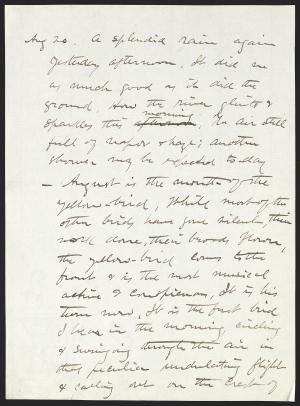 16544-Service File.jpg