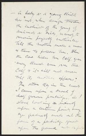 16556-Service File.jpg