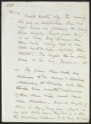 16619-Service File.jpg