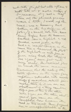 16677-Service File.jpg