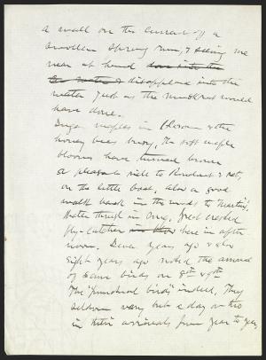 16737-Service File.jpg