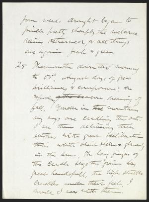 16772-Service File.jpg