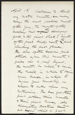 16781-Service File.jpg
