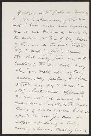 16794-Service File.jpg