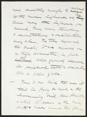 16842-Service File.jpg
