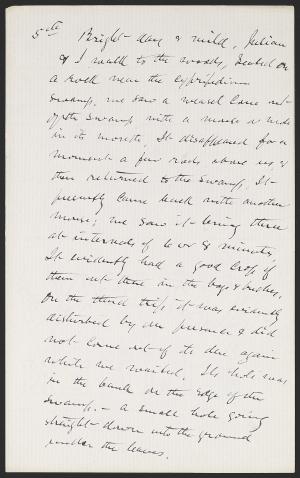 16910-Service File.jpg