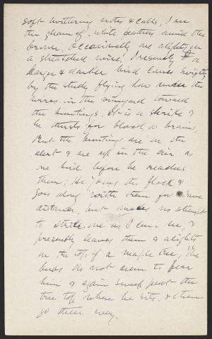17106-Service File.jpg