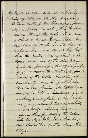 17174-Service File.jpg