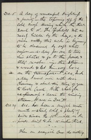 17175-Service File.jpg