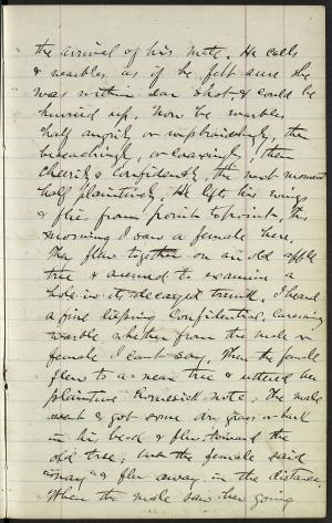 17176-Service File.jpg