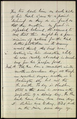 17188-Service File.jpg