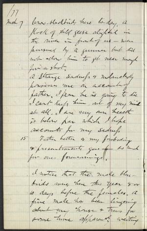17189-Service File.jpg