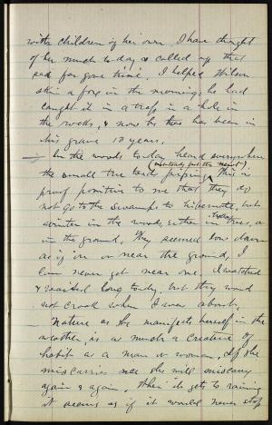 17198-Service File.jpg