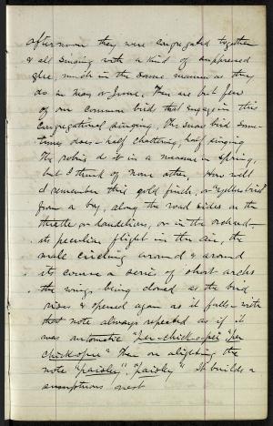 17225-Service File.jpg