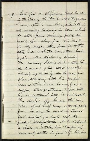 17229-Service File.jpg