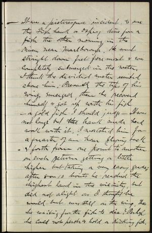 17233-Service File.jpg