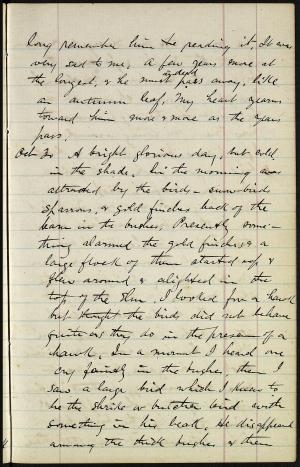17237-Service File.jpg